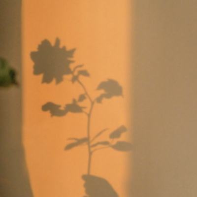 怪兽宝贝手游百度版下载