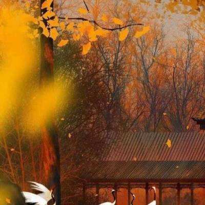 赋智WAIC2025阿联酋论坛，格创东...